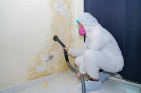 Biohazard Mold Removal in Yarrow Point, WA